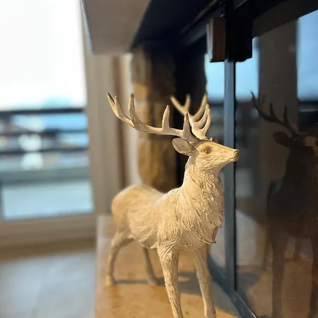 Haute-nendaz - Ski-in/ski-out - Le Mont-fort Daire